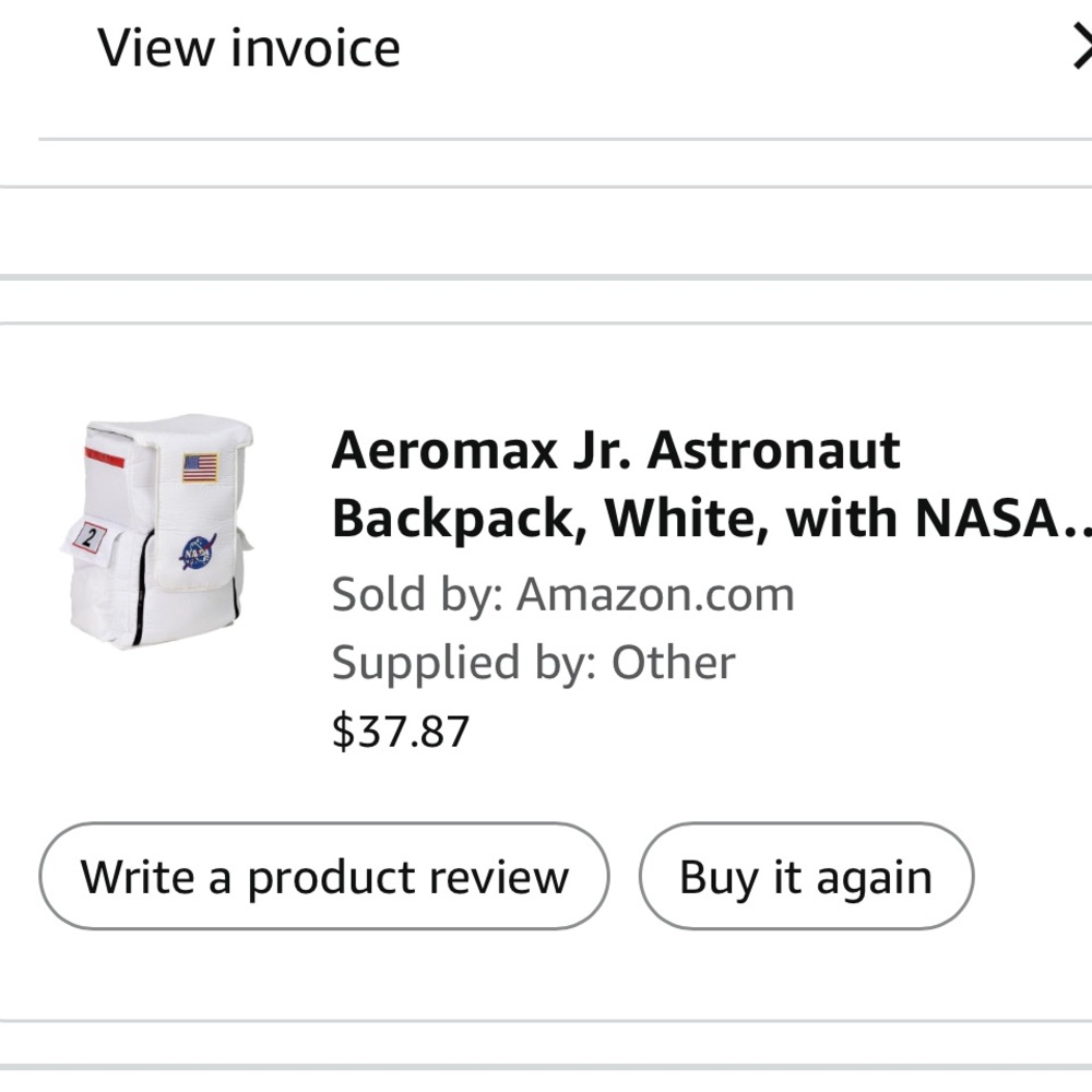 NASA Backpack - Picture 7 of 7